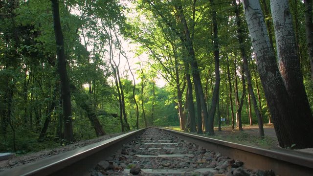 The Suburban Railway In Forest