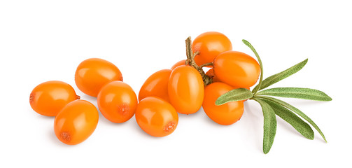 Sea buckthorn. Fresh ripe berry with leaves isolated on white background macro