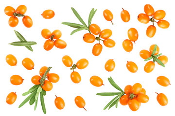 Sea buckthorn. Fresh ripe berry with leaves isolated on white background with copy space for your text. Top view. Flat lay pattern