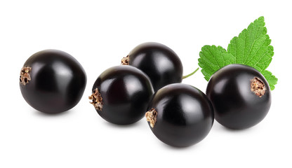 Five black currant with leaf isolated on white background