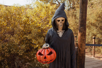 A human skeleton in a black costume of grim reaper with an orange lantern pumpkin in a hand. Happy...