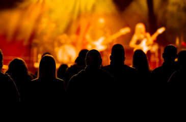 Fans enjoying festival music concert.