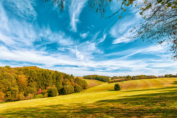 Rural Landscape With Field And