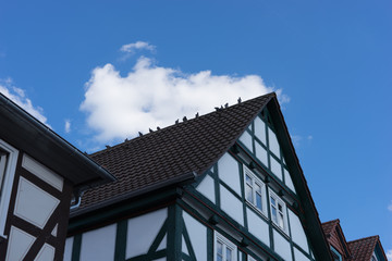 Fototapeta na wymiar Tauben auf dem Dach eines historische Fachwerkhauses