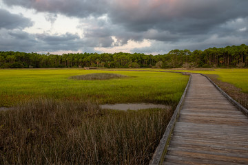 Fototapeta na wymiar Salt Marsh on the intracoastal waterway in Florida