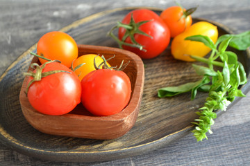 Colorful red and yellow cherry tomatoes on wooden plate and cutting board with green basil