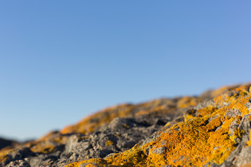 Blue and Yellow By the Sea