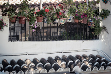 Row of ceramic pots with growing plants hanging near aged tiled roof of shabby house on sunny day on town street