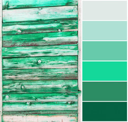 Color matching palette of toned wooden backgrond