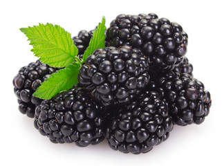 Fresh blackberry on white background