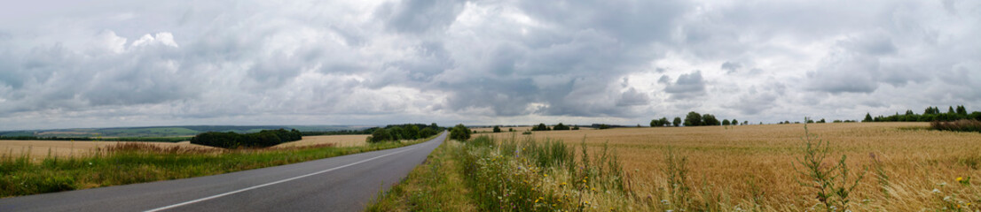 Fototapeta premium summer landscape, large horizontal panorama - asphalt road, field and forest