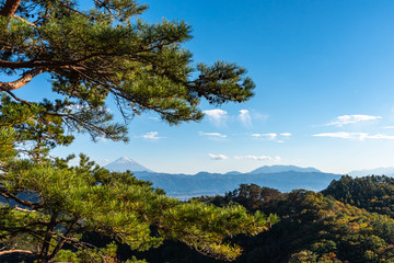 Fototapeta na wymiar Mount Fuji, the World Heritage. Beautiful scenery view, pine forests in foreground, blue sky and white clouds in background. Shosenkyo observation station, Kofu City, Yamanashi Prefecture, Japan