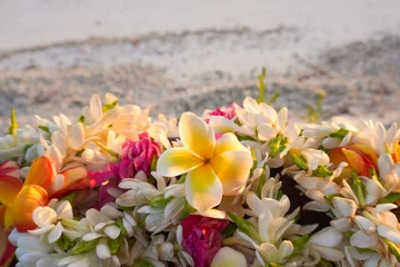 Foto op Aluminium A lei of beautiful tropical flowers rests on a railing above a white sandy beach © Liz W Grogan