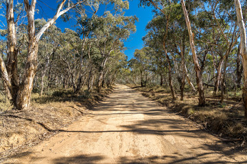 Unsealed winding road on Mount Clear in rural Australia © Alexander