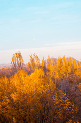 Autumn urban landscape on a Sunny day - yellow and colorful autumn trees, the sky with clouds with autumn haze