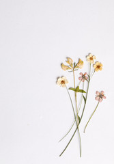 Greeting card with wild flower bouquet