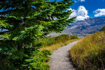 Hiking trail through Mount St. Helens National Volcanic Monument, WA, USA