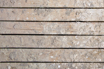 grunge background: rough board of oak planks stained with lime and paint