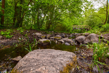 natural scenery with water