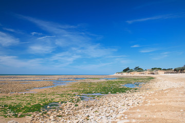 Beach Ile de Re