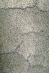 yellow-red rough wall of lime plaster