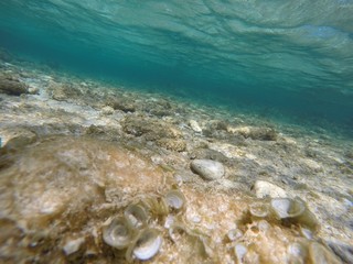 Underwater view
