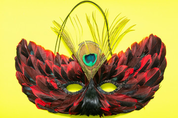 Venetian Colorful Cat Mask with Black and Red Feathers. Fancy Vintage festive Mardi Gras or Carnival Mask on a bright yellow background. 