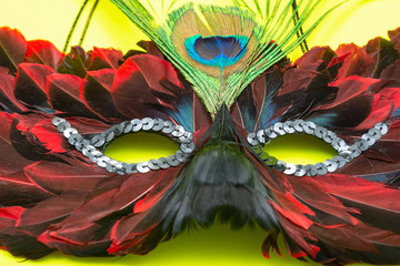 Venetian Colorful Cat Mask with Black and Red Feathers. Fancy Vintage festive Mardi Gras or Carnival Mask on a bright yellow background. 