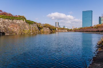Fototapeta premium 大阪城公園