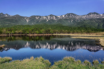 北海道・斜里町 初夏の知床五湖の風景