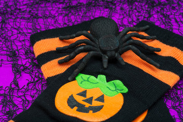 Black Spider and striped black and orange funny socks with pumpkins on bright purple background. Halloween Holiday celebration concept. Boo!