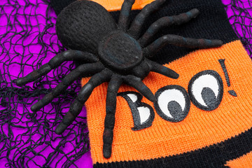 Black Spider and striped black and orange funny socks on bright purple background. Boo! Halloween Holiday celebration concept.