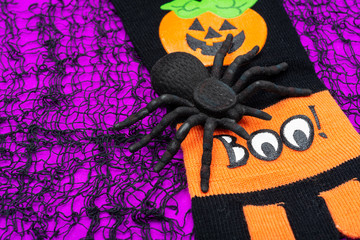 Black Spider and striped black and orange funny socks with pumpkins on bright purple background. Halloween Holiday celebration concept. Boo!