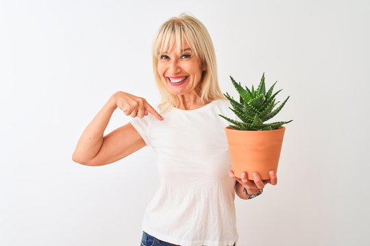 Middle age woman holding cactus pot standing over isolated white background with surprise face pointing finger to himself