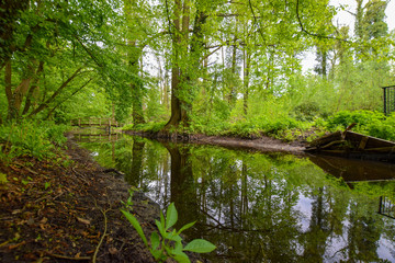 natural scenery with water