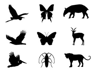  Bird,  insect and wildlife vector illustration isolated on white