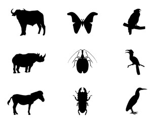 Bird,  insect and wildlife vector illustration isolated on white