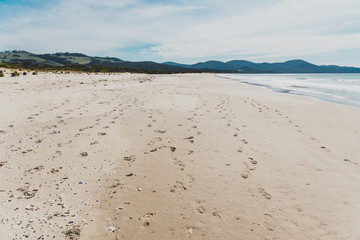 sunny pristine and deserted beach overlooking the South Pacific Ocean