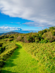 【静岡県伊豆半島】夏の高原風景【伊豆山稜線歩道・だるま山周辺】