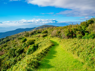 【静岡県伊豆半島】夏の高原風景【伊豆山稜線歩道・だるま山周辺】