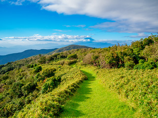 【静岡県伊豆半島】夏の高原風景【伊豆山稜線歩道・だるま山周辺】