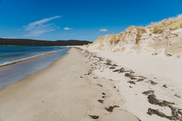 sunny pristine and deserted beach overlooking the South Pacific Ocean