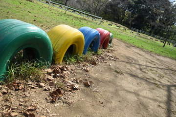 タイヤその先へと続く道