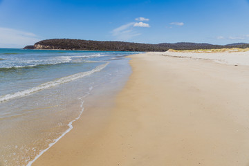 sunny pristine and deserted beach overlooking the South Pacific Ocean