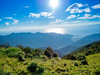 【静岡県伊豆半島】夏の高原風景【伊豆山稜線歩道・だるま山周辺】