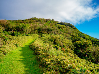 【静岡県伊豆半島】夏の高原風景【伊豆山稜線歩道・だるま山周辺】