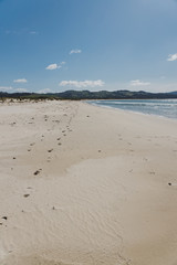 sunny pristine and deserted beach overlooking the South Pacific Ocean