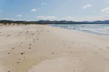 sunny pristine and deserted beach overlooking the South Pacific Ocean