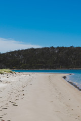 sunny pristine and deserted beach overlooking the South Pacific Ocean