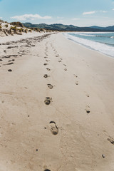 sunny pristine and deserted beach overlooking the South Pacific Ocean